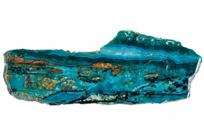 Polished Banded Chrysocolla and Malachite - Bagdad Mine, Arizona #315648